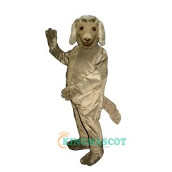 Afghan Uniform, Afghan Mascot Costume