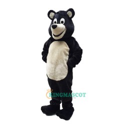 Bear Cartoon Uniform, Bear Cartoon Mascot Costume