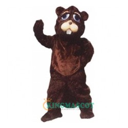 Beaver Uniform, Beaver Mascot Costume