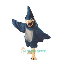 Big Blue Uniform, Big Blue Mascot Costume