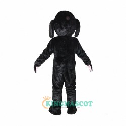 Black Dog Uniform, Black Dog Mascot Costume