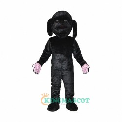 Black Dog Uniform, Black Dog Mascot Costume