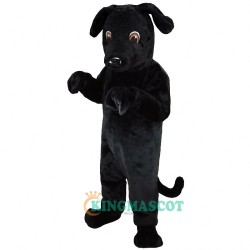 Black Lab Uniform, Black Lab Lightweight Mascot Costume
