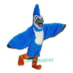 Blue Jay Uniform, Blue Jay Mascot Costume