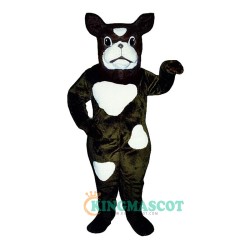 Boxer Uniform, Boxer Mascot Costume