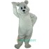 Breezy Bear Uniform, Breezy Bear Mascot Costume