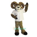 Sheep Mascots