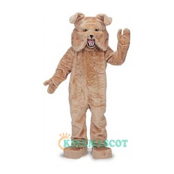 Bull Dog Uniform, Bull Dog Mascot Costume