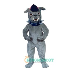 Bulldog Uniform, Bulldog Mascot Costume