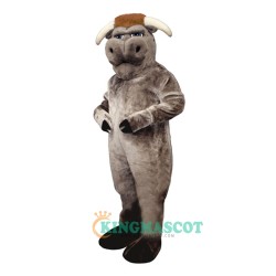Bully Bull Uniform, Bully Bull Mascot Costume