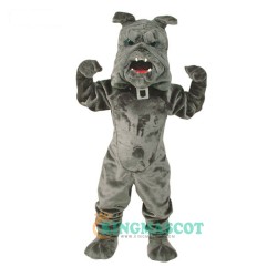 Bully Bulldog Uniform, Bully Bulldog Mascot Costume