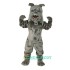 Bully Bulldog Uniform, Bully Bulldog Mascot Costume