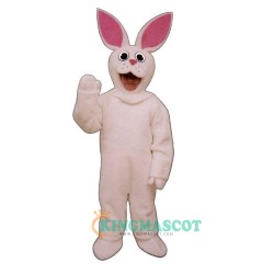 Bunny Uniform, Bunny Mascot Costume