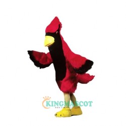 Cardinal Uniform, Cardinal Mascot Costume