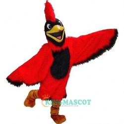 Cardinal Uniform, Cardinal Mascot Costume