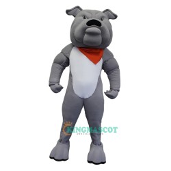 College Bulldog Uniform, College Bulldog Mascot Costume