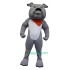 College Bulldog Uniform, College Bulldog Mascot Costume