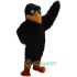 Crow Uniform, Crow Mascot Costume