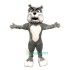 Cute Bulldog Uniform, Cute Bulldog Mascot Costume