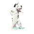 Dalmatian Uniform, Dalmatian Mascot Costume
