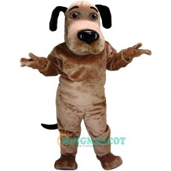 Dog Uniform, Dog Mascot Costume