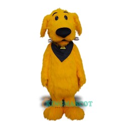 Dog Uniform, Dog Mascot Costume