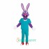 Dr Rabbit Uniform, Dr Rabbit Mascot Costume