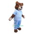 Drbear Uniform, Drbear Mascot Costume