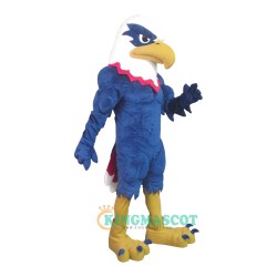 Eagle Uniform, Eagle Mascot Costume