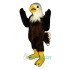 Eagle Uniform, Eagle Mascot Costume