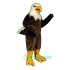 Eagle Uniform, Eagle Mascot Costume