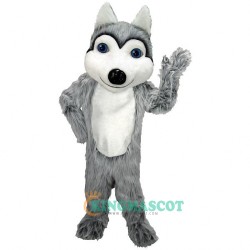 Husky Dog Uniform, Friendly Husky Dog Lightweight Mascot Costume