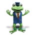 Frog Uniform, Frog Mascot Costume
