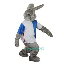 Gray Rabbit Cartoon Uniform, Gray Rabbit Cartoon Mascot Costume