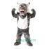 Grey Wildcat Uniform, Grey Wildcat Mascot Costume