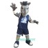 College Horse Uniform, College Horse Mascot Costume