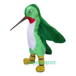 Hummingbird Uniform, Hummingbird Mascot Costume