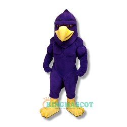 Hawk Uniform, Hunter Hawk Mascot Costume