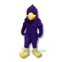 Hawk Uniform, Hunter Hawk Mascot Costume
