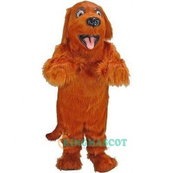Irish Setter Uniform, Irish Setter Mascot Costume