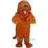Irish Setter Uniform, Irish Setter Mascot Costume