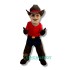Cowboy Uniform, Cowboy Mascot Costume