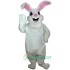 Jack Rabbit Uniform, Jack Rabbit Mascot Costume