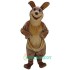 Kangaroo Uniform, Kangaroo Mascot Costume