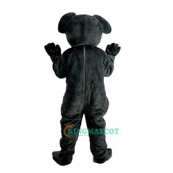 Koala Cartoon Uniform, Koala Cartoon Mascot Costume