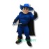 Man Uniform, College Handsome Man Mascot Costume