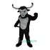 Longhorn Uniform, Longhorn Mascot Costume