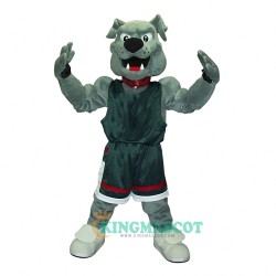 Lucky Dog Uniform, Lucky Dog Mascot Costume