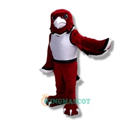Warhawk Uniform, Warhawk Mascot Costume