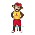 Monkeys, Gorillas